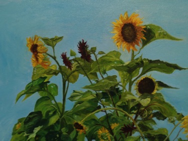 Sunflowers 
oil on canvas
11” x 14”
